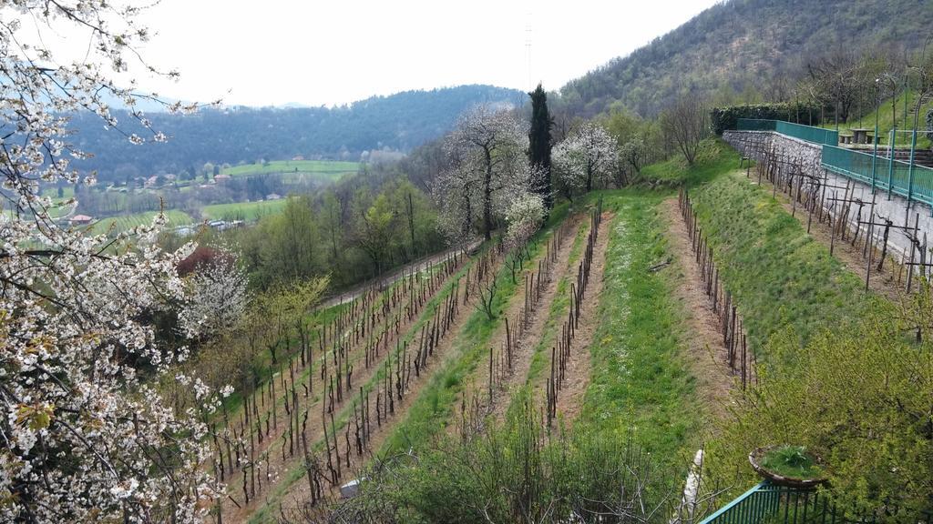 Agriturismo Il Mirabile Panzió Trescore Balneario Kültér fotó