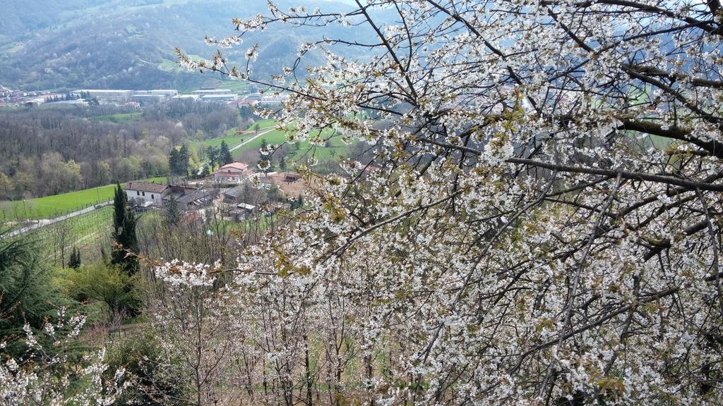Agriturismo Il Mirabile Panzió Trescore Balneario Kültér fotó